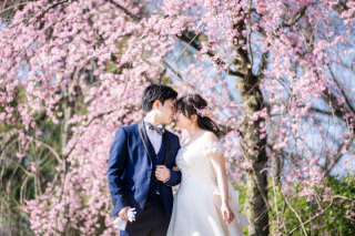 4月桜シーズンの撮影風景【鴨川】