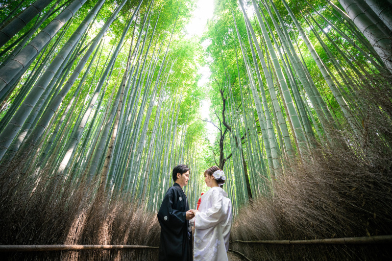 嵐山の竹林