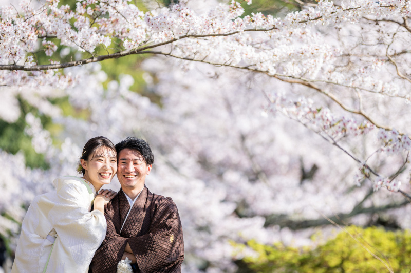 昨年の桜シーズンフォト