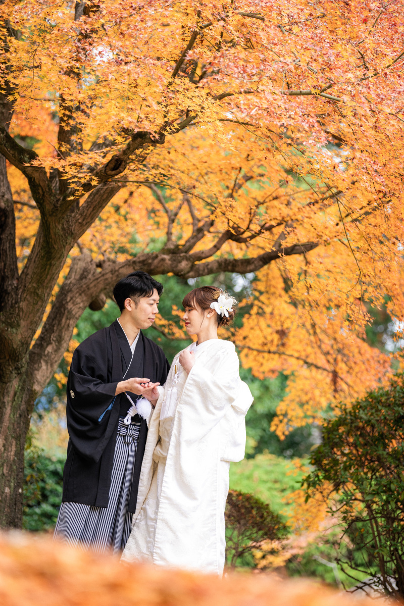 昨年紅葉シーズンのお写真