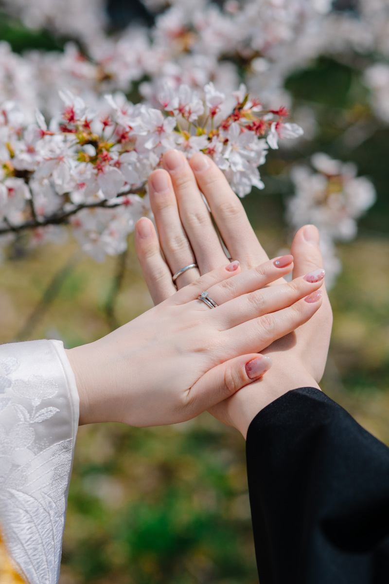 昨年の桜シーズンフォト
