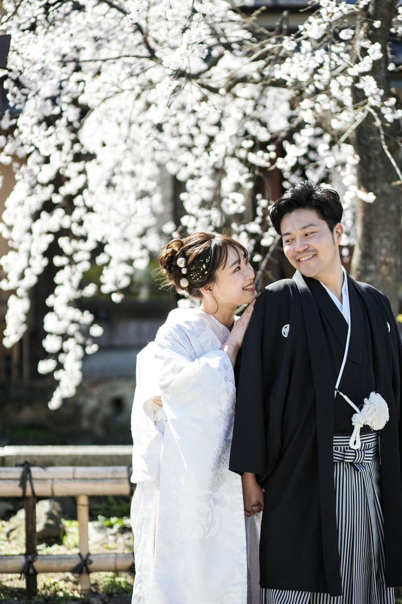 桜シーズンのお写真!