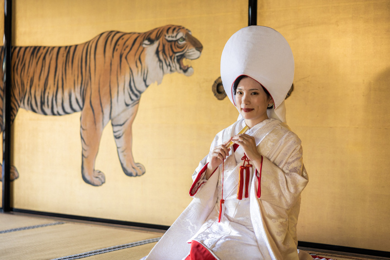 夏季シーズンの撮影レポ【金戒光明寺】