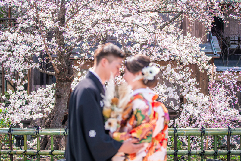 桜時期のロケ地紹介ー祇園ー