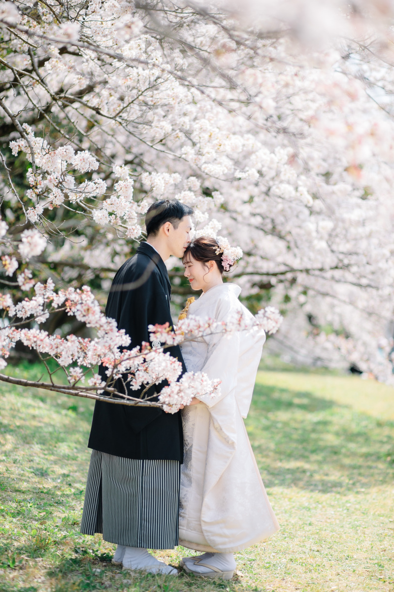 撮影レポート【鴨川付近&毘沙門堂】