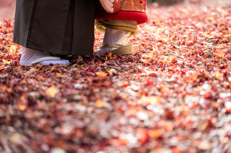 昨年紅葉シーズンのお写真