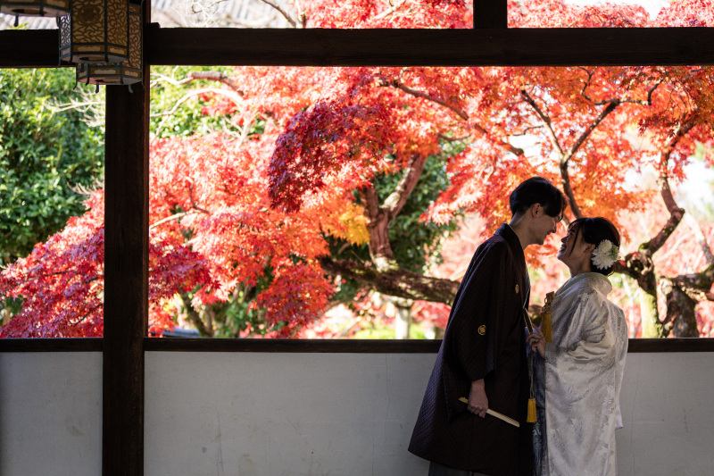 昨年紅葉シーズンのお写真