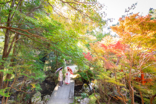 紅葉シーズンのロケ地