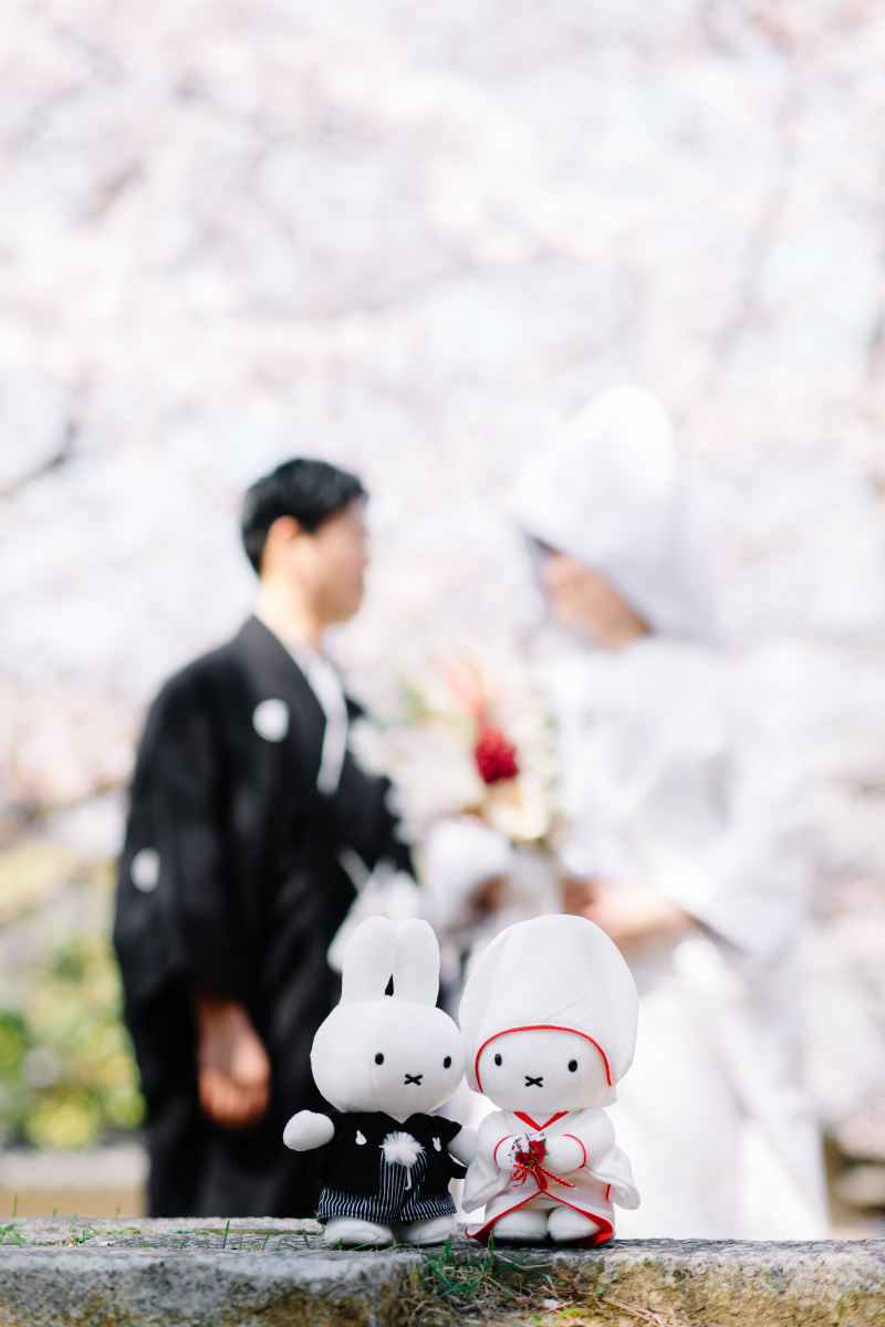 桜シーズンのお写真!