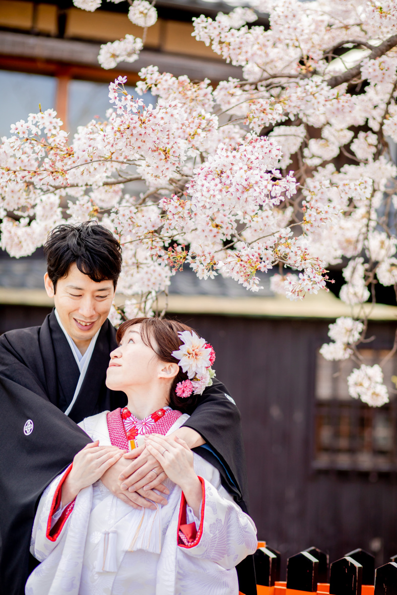 桜、ロケ撮影!