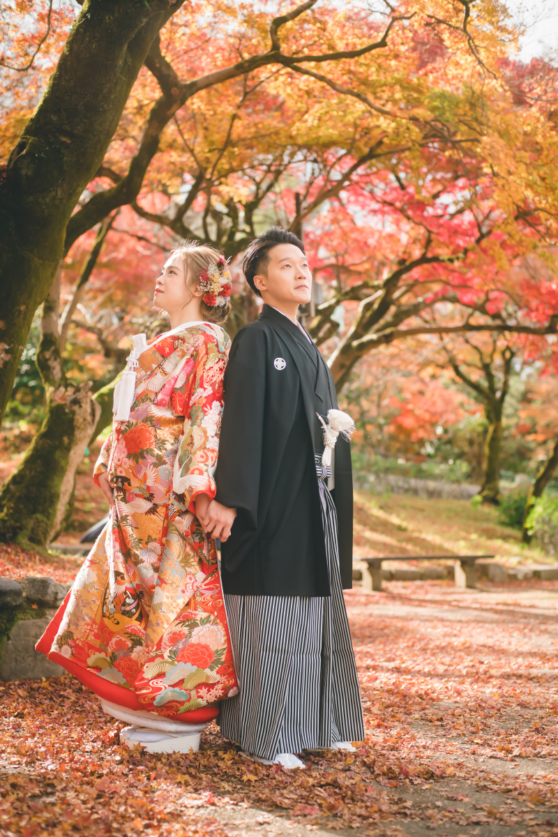 紅葉空き情報　※11月7日時点