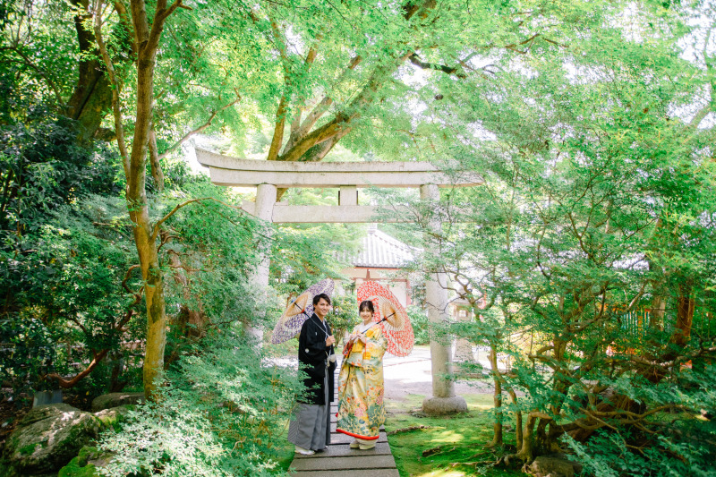 新緑シーズンのお写真紹介