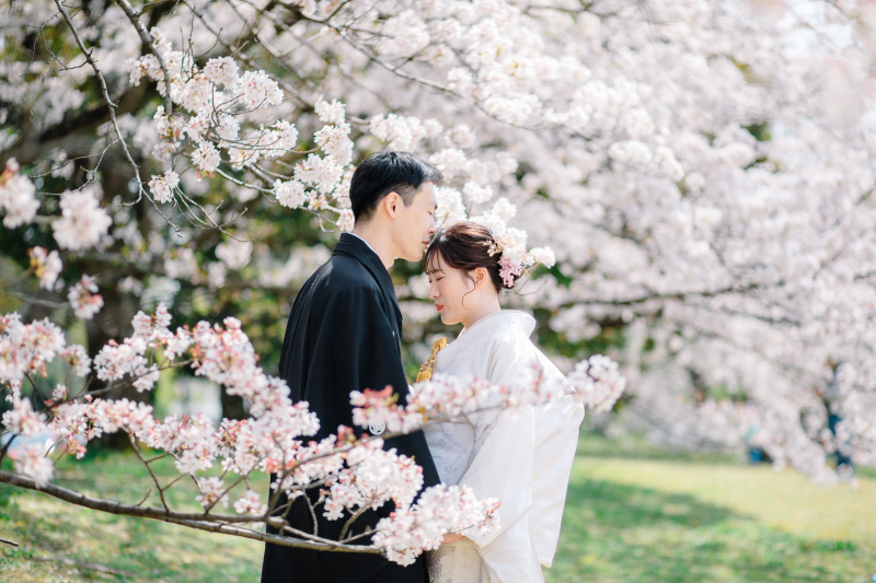 撮影レポート【鴨川付近&毘沙門堂】