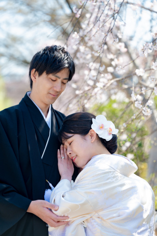 4月の撮影レポ｜桜シーズンの祇園にて