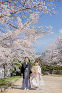 桜シーズン、和装ロケの様子