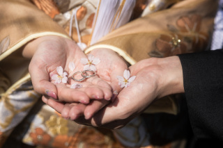 有償モニター募集！｜3月1日～3月14日