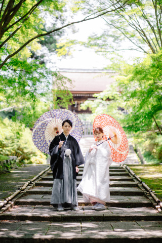 昨年の新緑シーズンのお写真