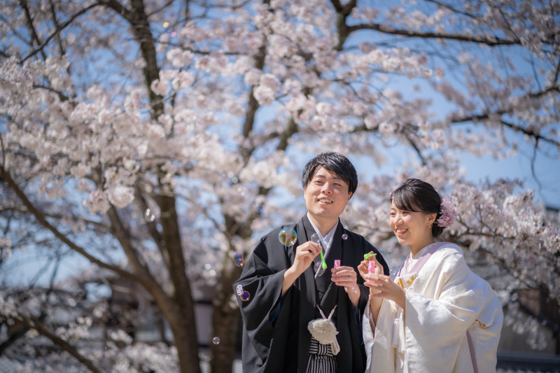 桜シーズンのお写真!