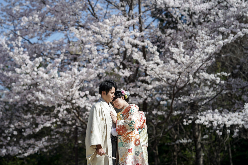 桜シーズンのお写真!