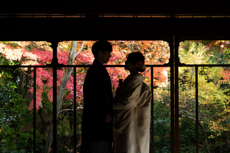 昨年紅葉シーズンのお写真