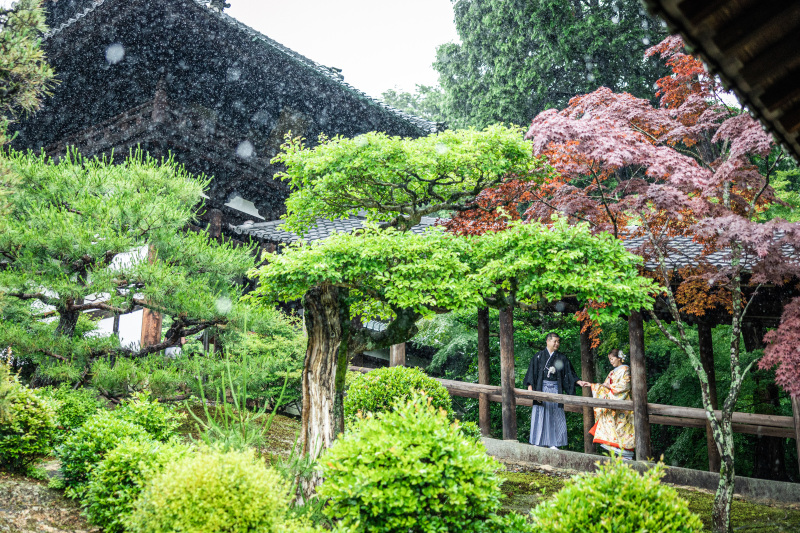 新緑シーズンの撮影風景！