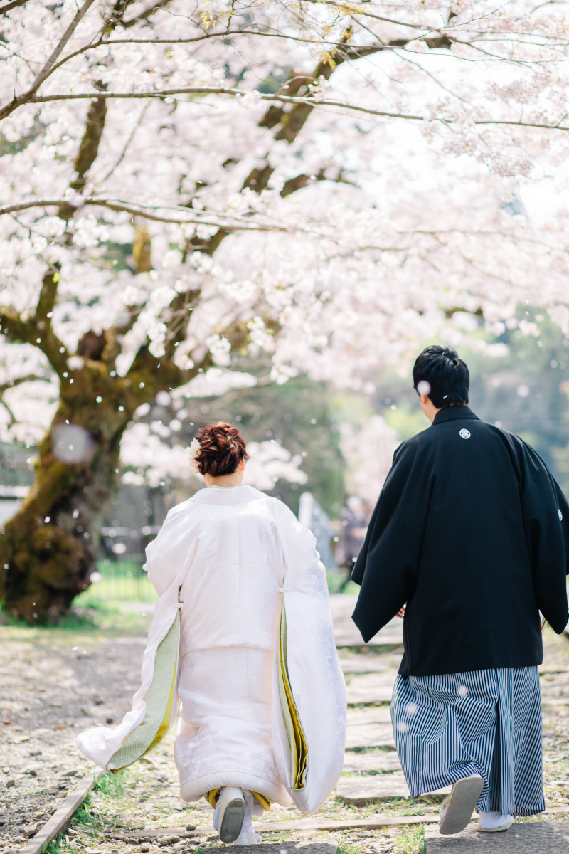 桜シーズンに向けて!