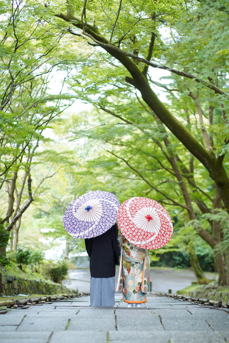 新緑の撮影