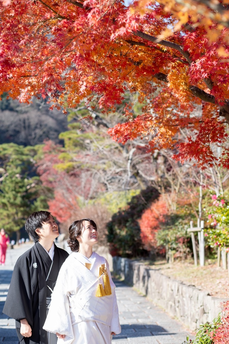 紅葉シーズンロケ地!