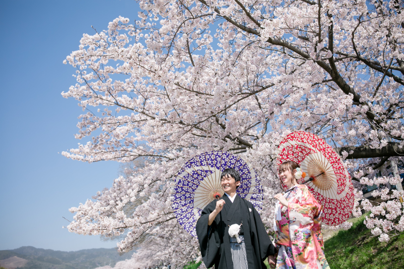 桜をバックに前撮りはいかがでしょうか！？