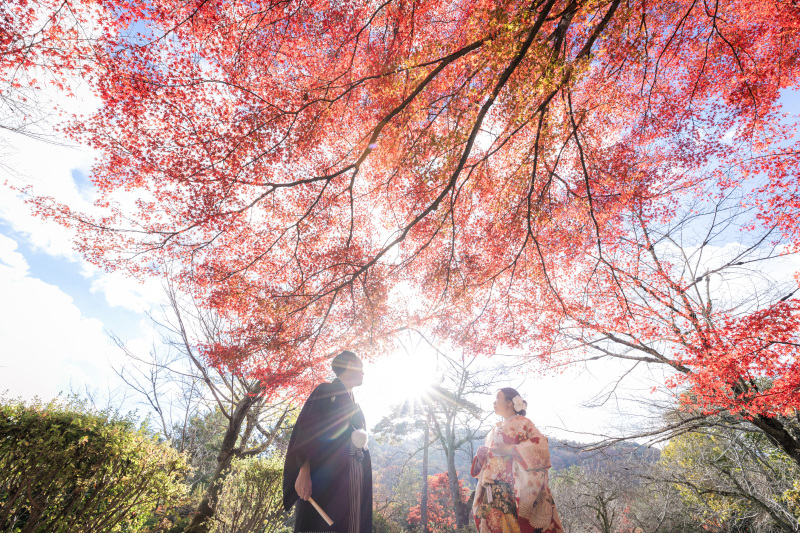11月下旬|紅葉シーズンの前撮り風景