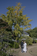12月1日空きが出来ました!