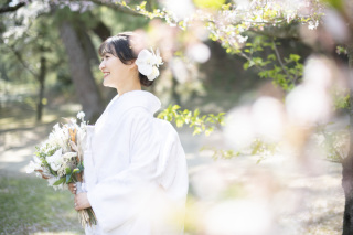 春撮影の予約始まってます♪