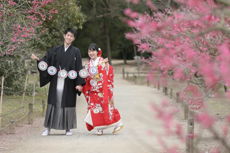 2月の撮影