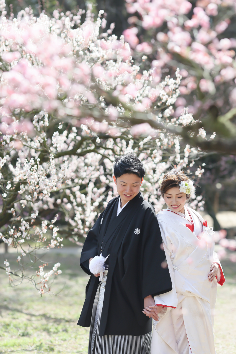 2月の撮影