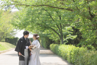緑にかこまれて、爽やかな写真を残しましょう