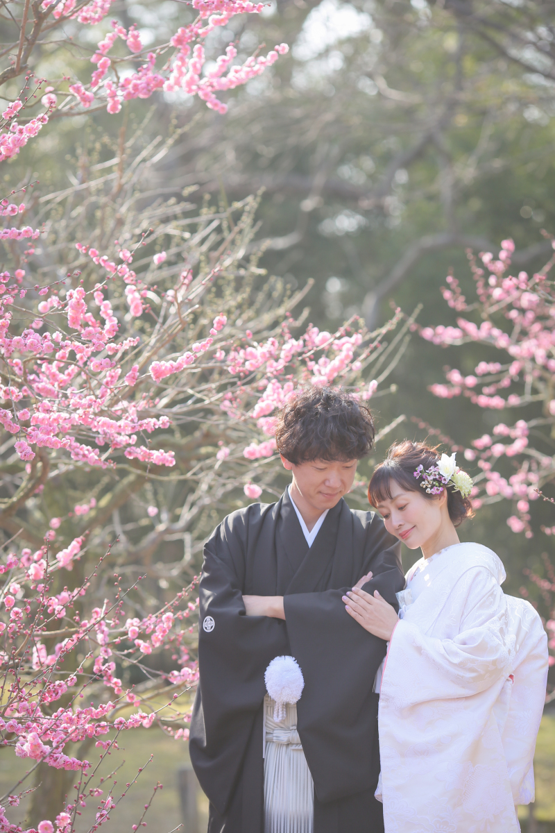 2月の撮影