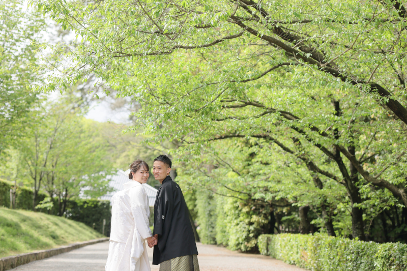 さあ、新緑の季節が近づいてまいりました