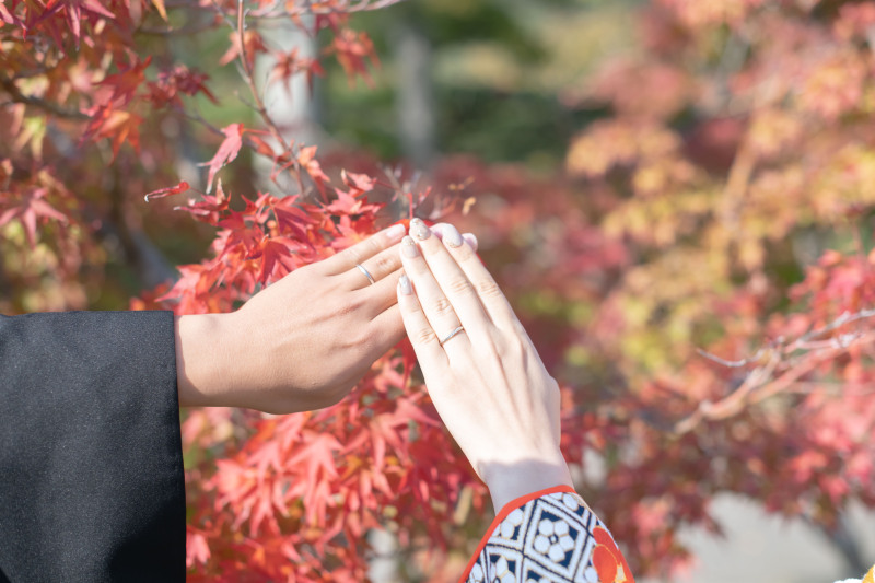 紅葉撮影真っ只中！