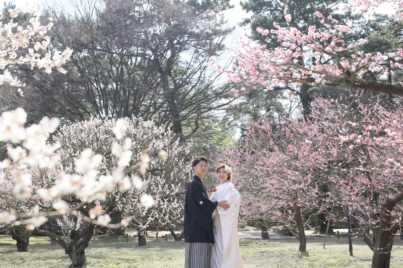 2月の撮影