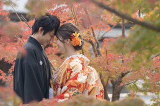 今年も紅葉撮影始まりました!