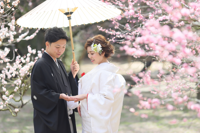 2月の撮影