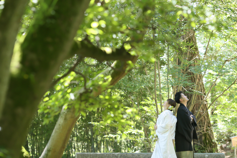 栗林公園の春夏秋冬