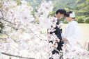 4月1日桜撮影も本番!