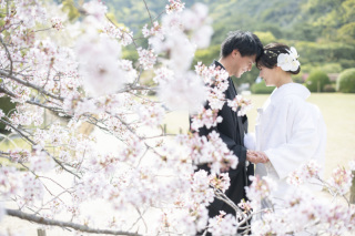 4月1日桜撮影も本番!