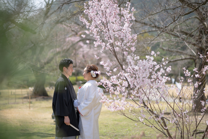桜と一緒に・・・・。