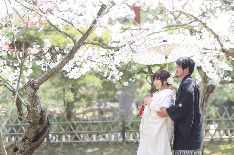 桜と一緒に・・・・。