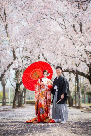 今年のさくらフォト❀