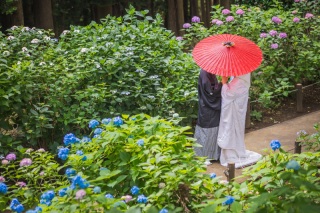 華雅苑が選ばれる理由③