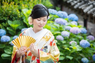 紫陽花の季節になりました✾