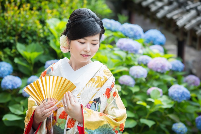 紫陽花の季節になりました✾